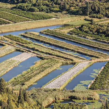 Two-bedroom In דירה פלוצ'ה