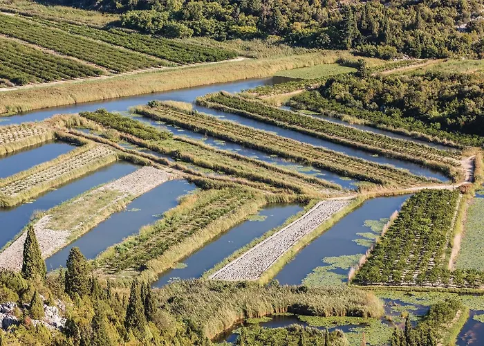 Two-bedroom In Daire Ploce (Dubrovnik-Neretva)